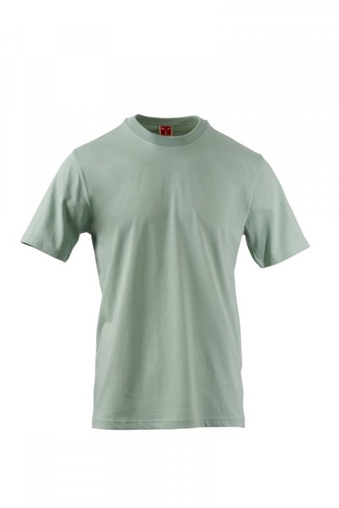 Flexo T-shirt SALBEIGRÜN