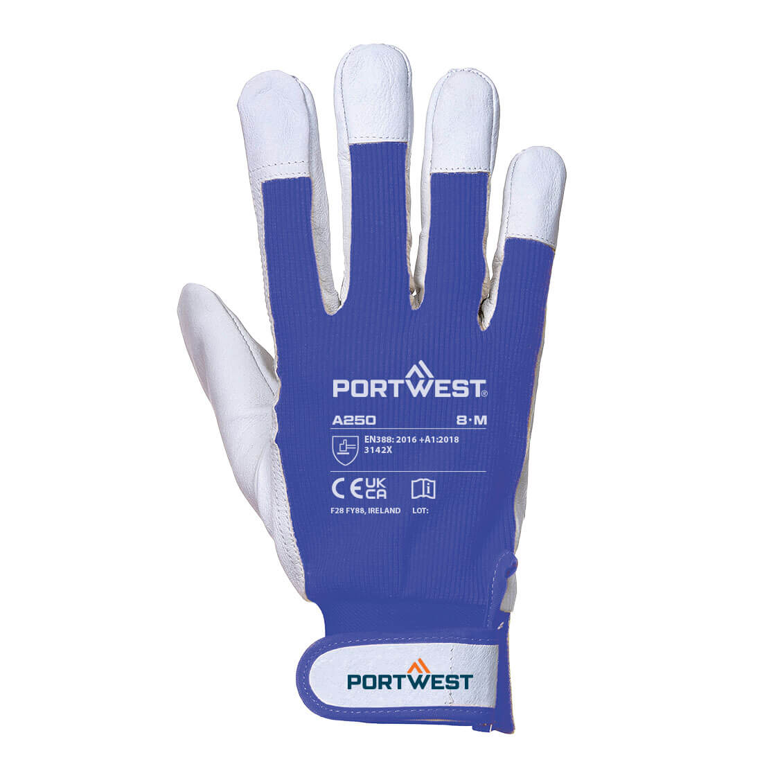 Tergsus Handschuh 4