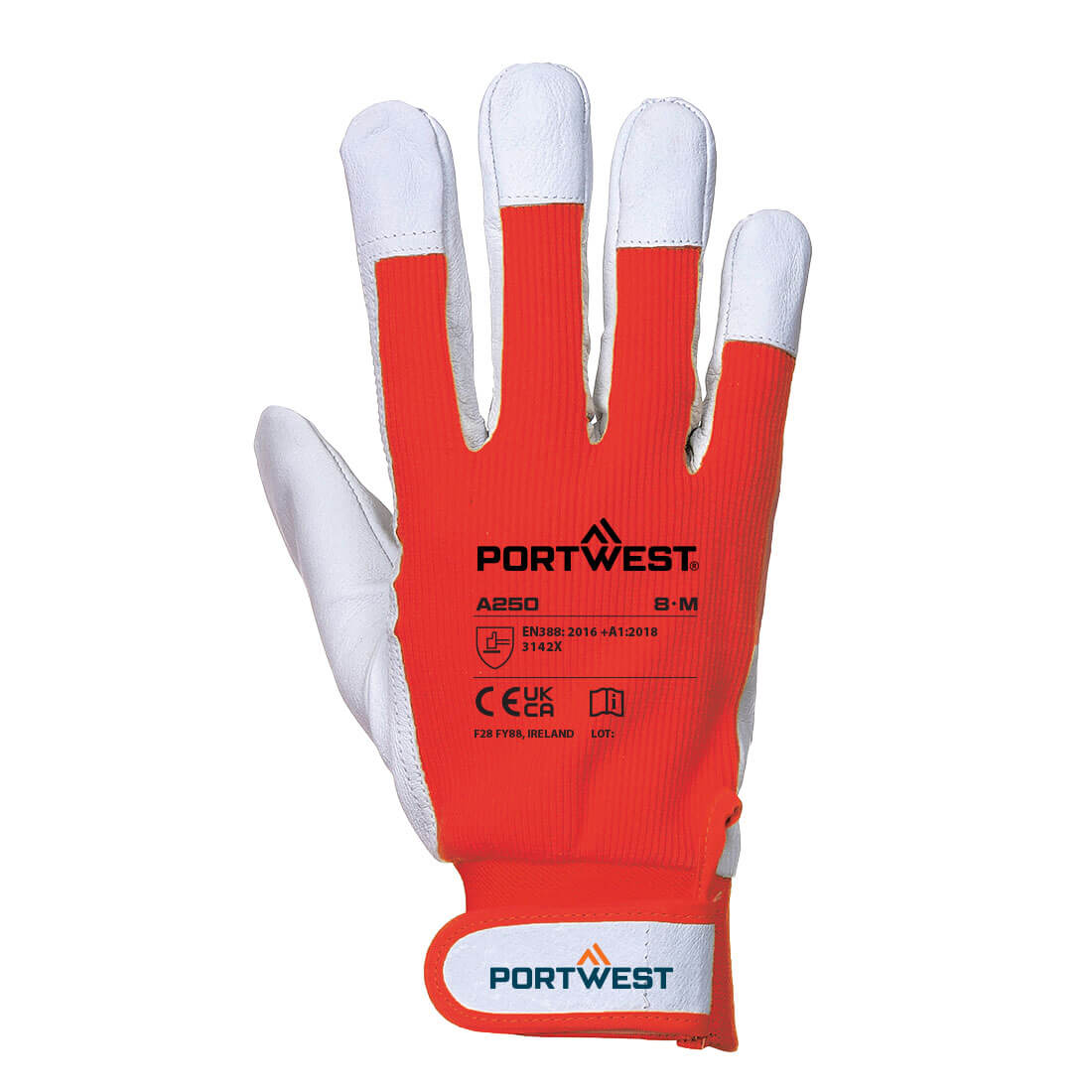 Tergsus Handschuh 6