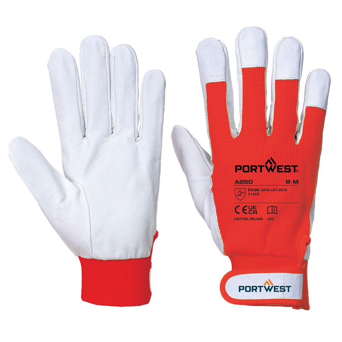 Tergsus Handschuh 5