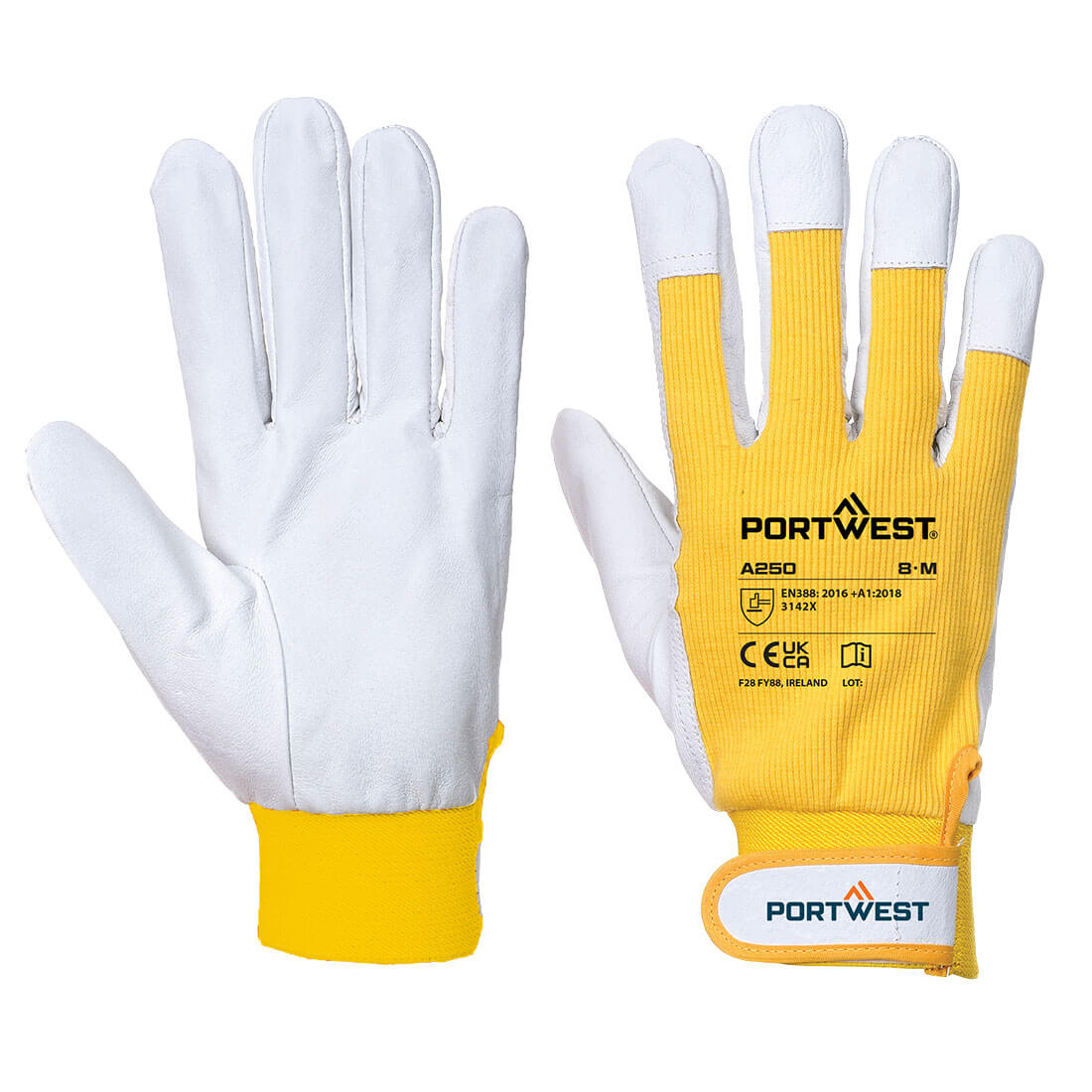 Tergsus Handschuh 7